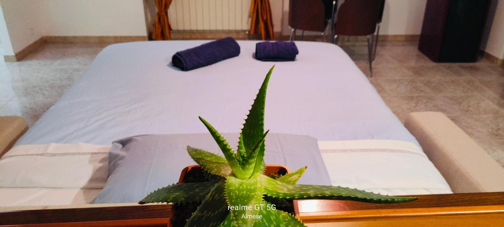 Almese Casa Jesus 아파트 외부 사진